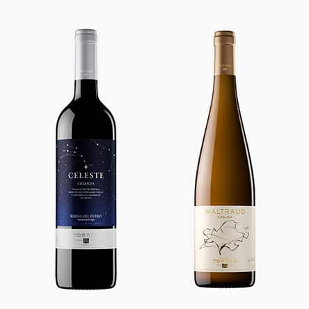 square-bodega-torres